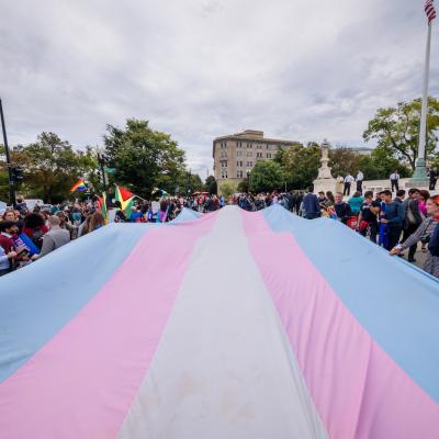  A giant Trans Flag unfurled outside the Supreme Court in 2019
