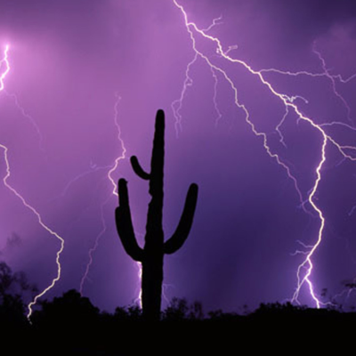 Lightning strikes in purple sky with cactus in the foreground.