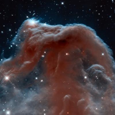 Newborn stars hiding inside the billowing gas of the Horsehead Nebula.