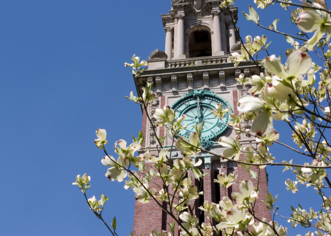 Clocktower at Brown University in Rhode Island during the spring