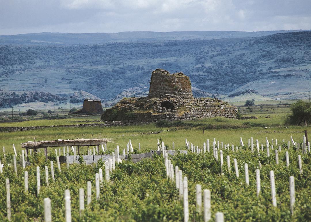 View of the archaeological complex of the nuraghi with a vineyard in the foreground in Sardinia, Italy.