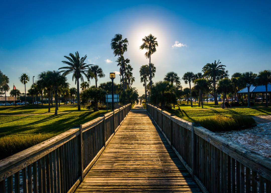 The sun shining through palm trees and a fishing pier in Daytona Beach, Florida.