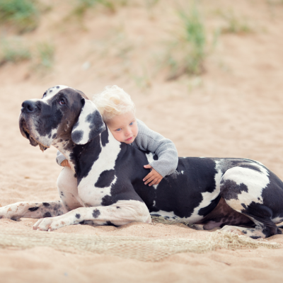 Young girl with Great Dane sitting on a sandy beach
