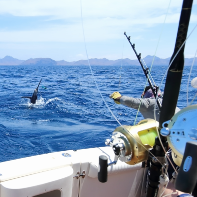 Two people standing next to a fishing rig on a boat attempting to lure in a marlin
