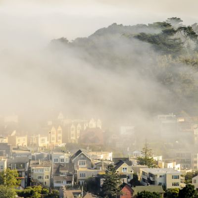 Fog descending upon buildings in San Francisco, with trees in the background