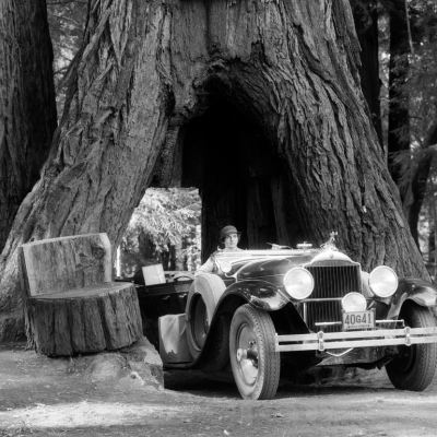 Woman driving a vintage convertible car through an opening in the trunk of a Giant Sequoia tree, the Coolidge Tree, in Mendocino, California, circa 1930s. 