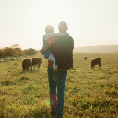 A parent holds their child while standing among animals on farmland.