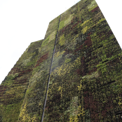 vertical wall garden at city hall in Medellin, Colombia