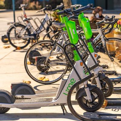 A line of Lime scooters parked on a roadside in San Francisco.