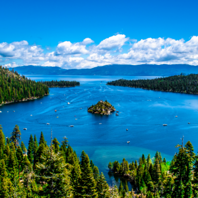 View of trees and water in Lake Tahoe in California