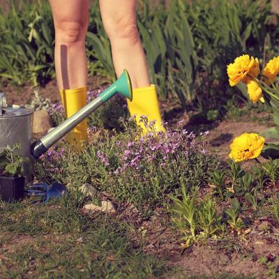 Gardener seen from knees down with bare legs in yellow boots next to a flower bed and garden tools.