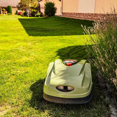 Green robotic electronic grass mows a lawn next to bushes. 