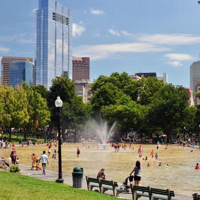 Boston Common Frog Pond and city skyline in summer