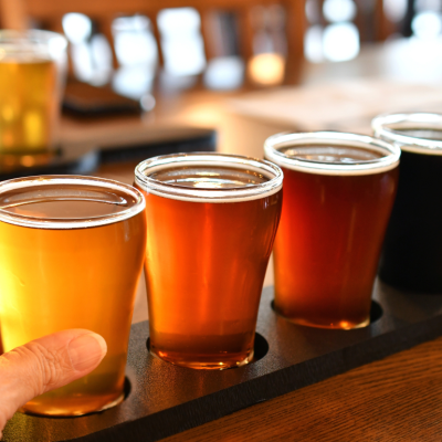 Flight of glasses of beer, ale, porter or stout for a craft beer tasting at a brewery.