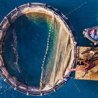 Aerial view of fish pens at the Agricultural Fishing Cooperation fish farm in Saronic Gulf, Greece.