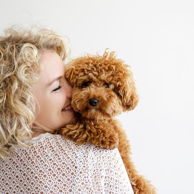 Adorable toy poodle puppy in arms of its loving owner.