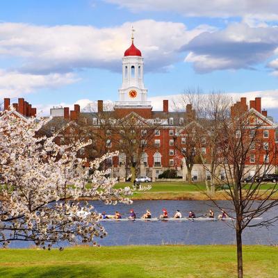 Harvard University during the spring.