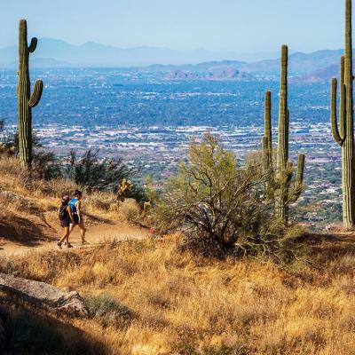 Hikers on an elevated desert trail In Phoenix area with cactus and mountains in background.