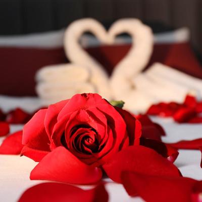 Close up image of roses and swans on a hotel bed honeymoon suite.