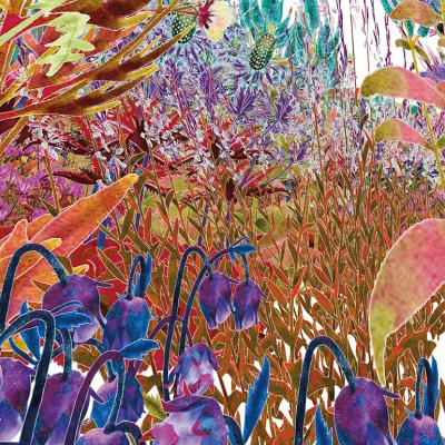 An illustration showing how bees visually perceive the environment.