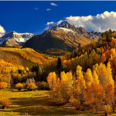 Fall foliage against Rocky Mountain peaks in Colorado