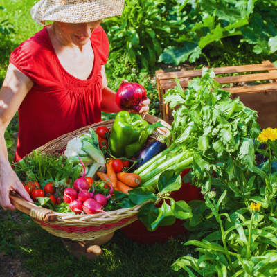 A lady holding a basket full of different vegetables harvested from her garden.