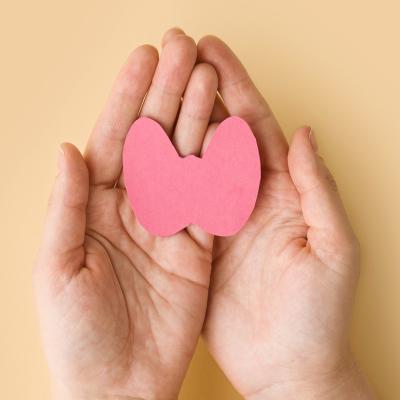 A woman's hands holding a paper form of the thyroid gland on a beige background.