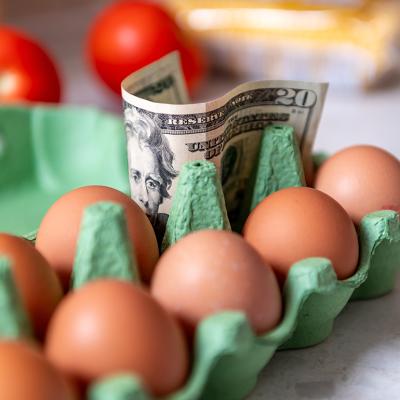 Food inflation concept where a tray of eggs is shown with a 20 dollar bill.