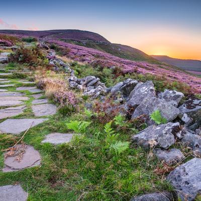 Simonside Hills path for hikers and walkers during sunset in Northumberland National Park, England.