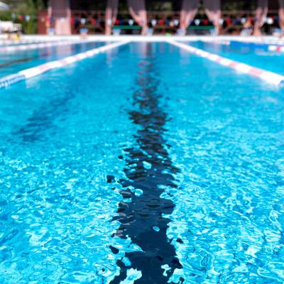 A swimming pool lane.