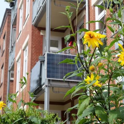 A balcony with solar panels with yellow flowers in the foreground.