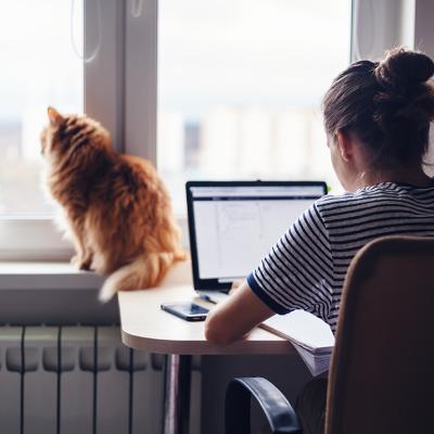 A woman working from home with a pet cat sitting on the window.