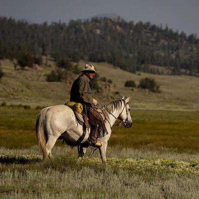 Rancher with cowboy hat on sitting on a white horse in a rural landscape with hills in the background.