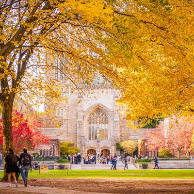 The Sterling Memorial Library at Yale University during the fall season.