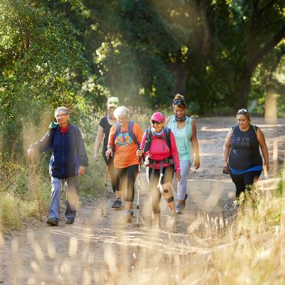 A group of senior women out on a forest hike.