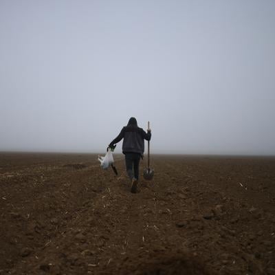 An undocumented worker from Honduras carrying a shovel, looks for damaged irrigation hoses in a cantaloupe field at Del Bosque Farms in Firebaugh, CA.