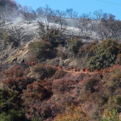 Inmates (in orange) help firefighters (L) to extinguish the last embers in the hills of Mandeville Canyon after the Palisades Fire burned part of it in January 2025.