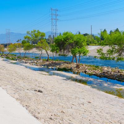 View of the vegetation and sandy banks in Los Angeles River in Elysian Valley.