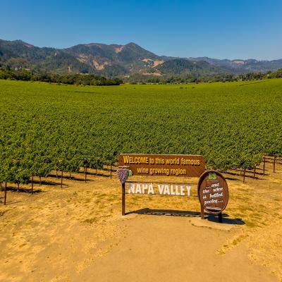 Grape vine fields of Napa Valley, California.