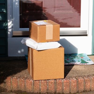 Three box packages delivered to the front door of a residential house.