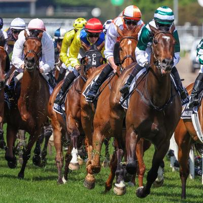 An intense horse race during the 2023 Lexus Melbourne Cup in Melbourne, Australia. 