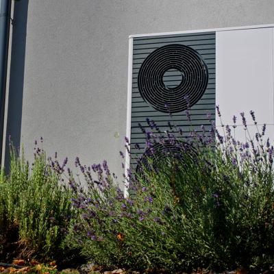 A modern outdoor heat pump mounted on a wall of a home surrounded by lavender plants.