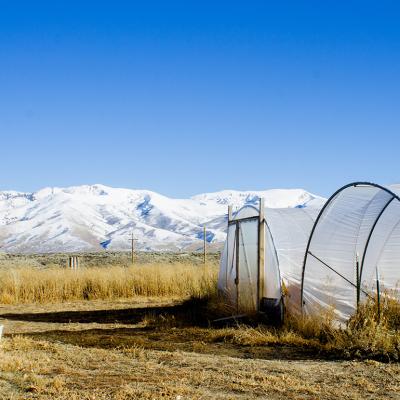 Two of the hoop houses the Lotspeichs paid for using NRCS grants.