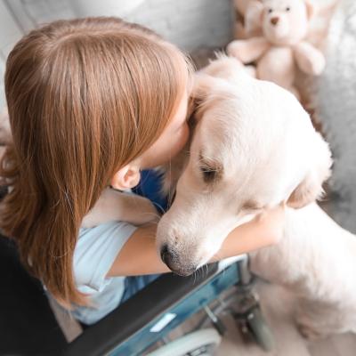 Young girl in wheelchair hugs a service dog.