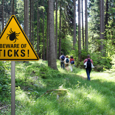 Warning sign near a lush green forest trail that says "beware of ticks" with hikers in the background