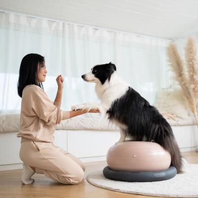 Woman animal trainer training dog with dog treat. 