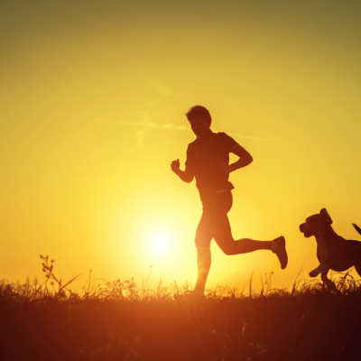 A silhouette of a person and a dog running in the sunset.