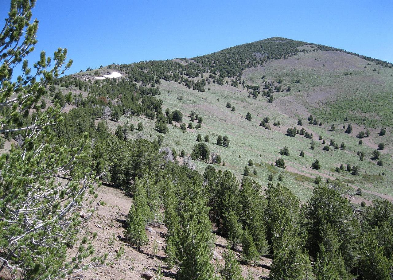 Modoc County, CA News Stacker