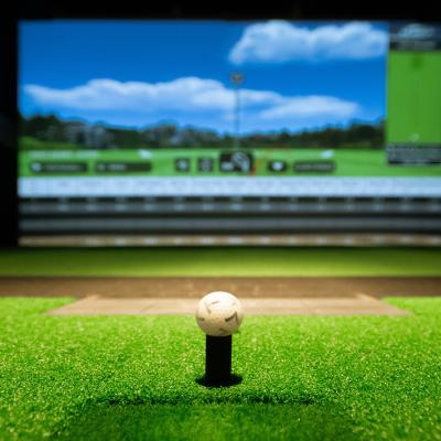 Golf ball on tee at simulator.