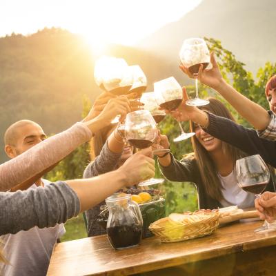 Group of young people toasting wine at winery.